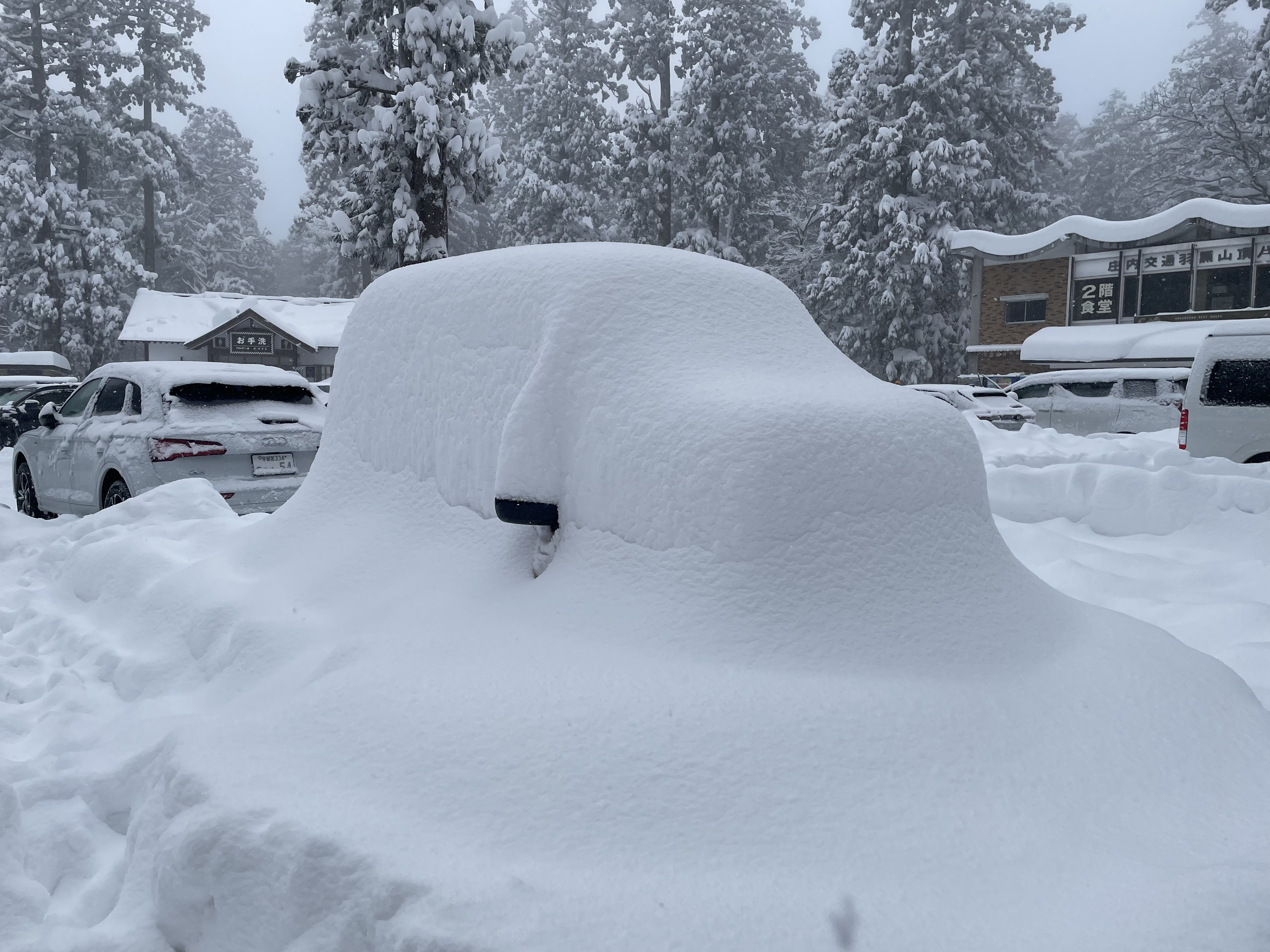 Car covered in snow